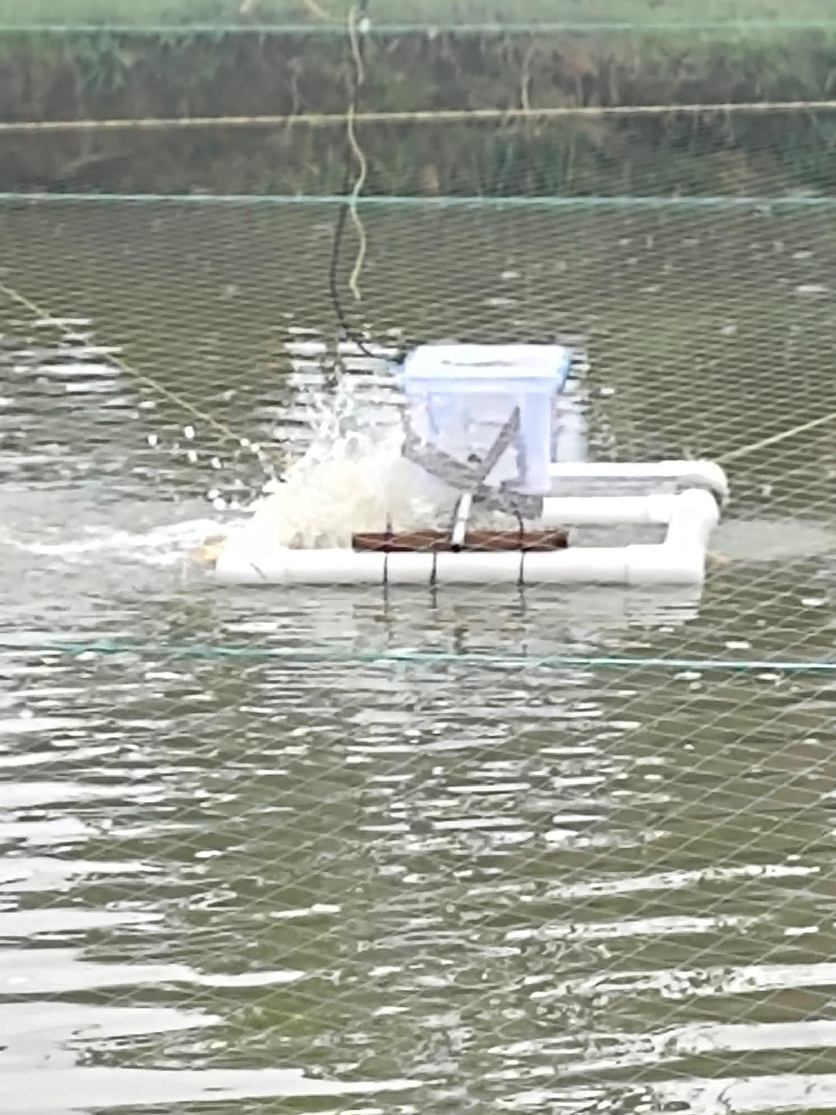 A paddle-wheel aerator splashing in a fish pond