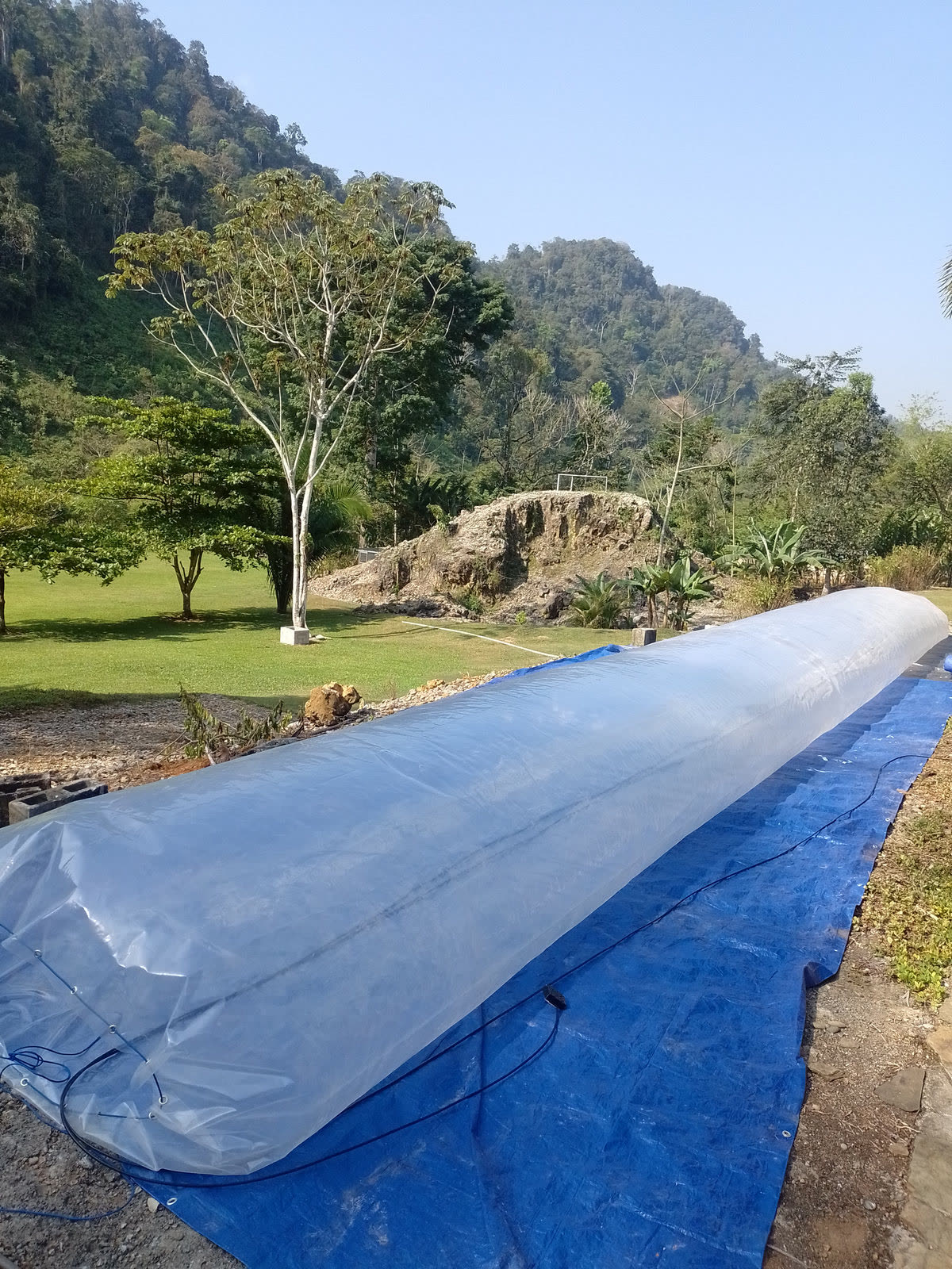 Tunnel solar dryer laid out on a lawn with forested hills behind