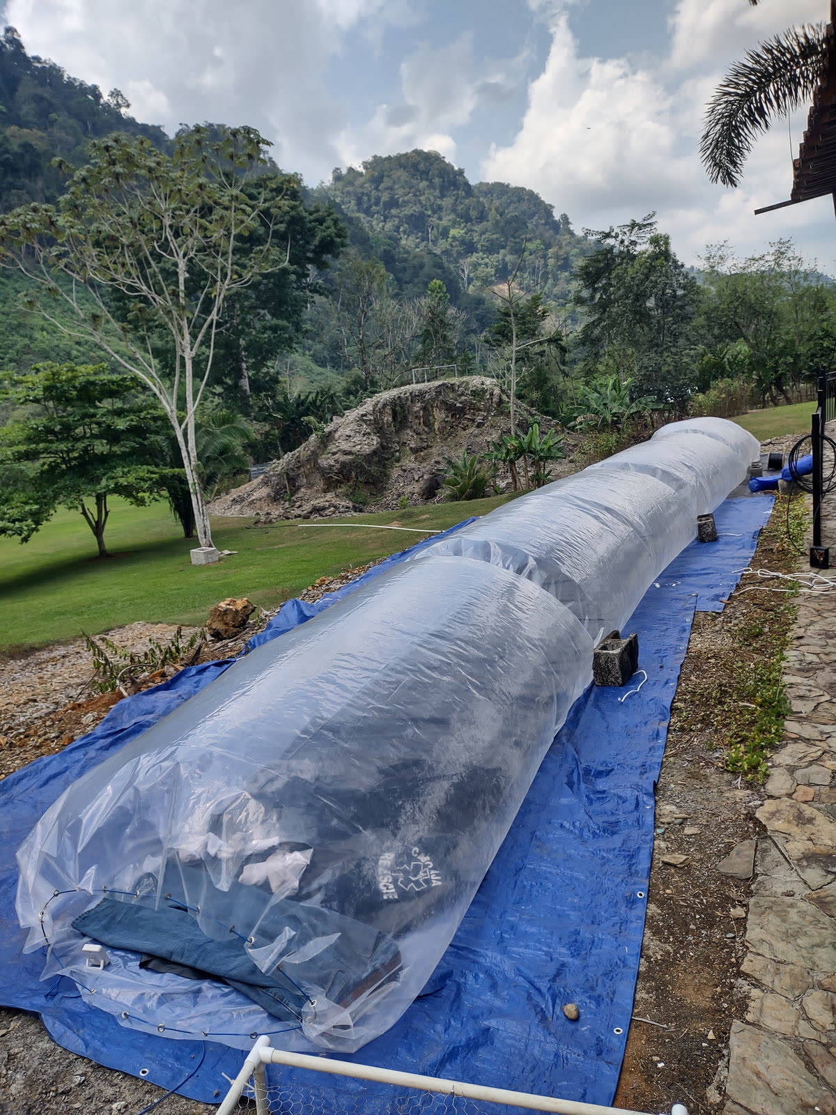 Tunnel-style solar dryer covered in clear plastic on a blue tarp
